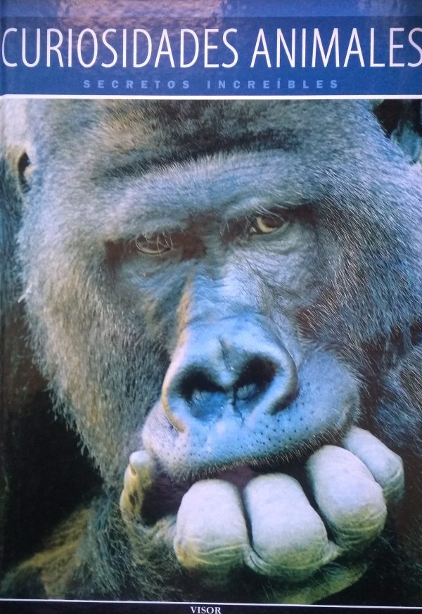 Mundo Animal - Curiosidades Animales