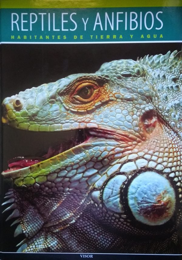 Mundo Animal - Reptiles Y Anfibios