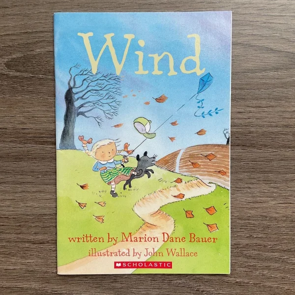 Wind