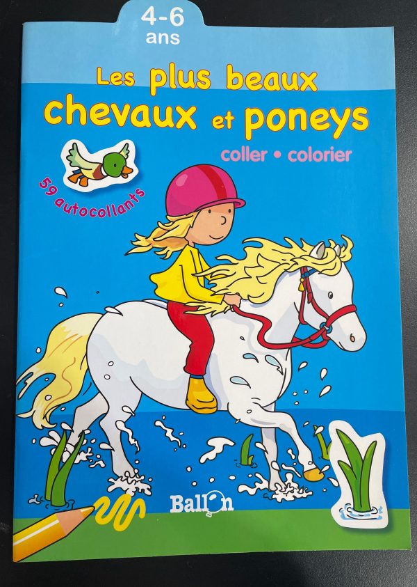 Les plus beaux chevaux et poneys