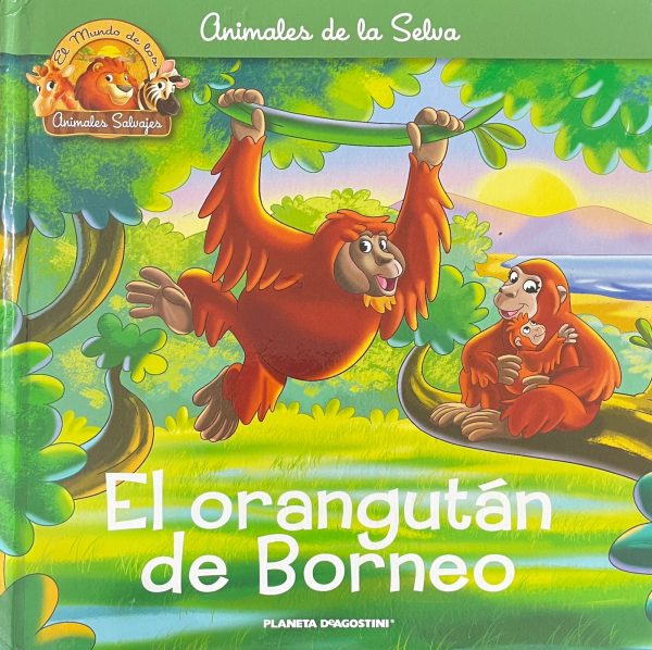 El orangután de Borneo