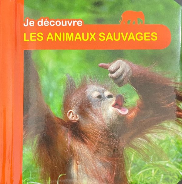 Je découvre – Les animaux sauvages