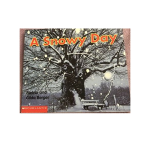 A Snowy Day
