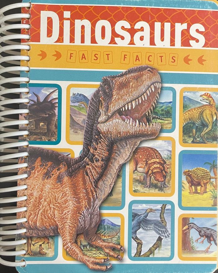 Dinosaurs fast facts