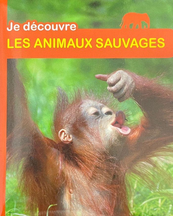 JE DECOUVRE – LES ANIMAUX SAUVAGES
