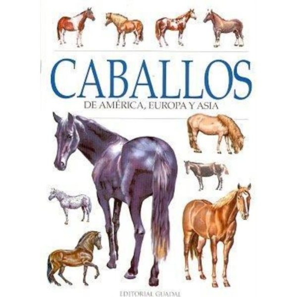 CABALLOS DE AMÉRICA EUROPA Y ASIA