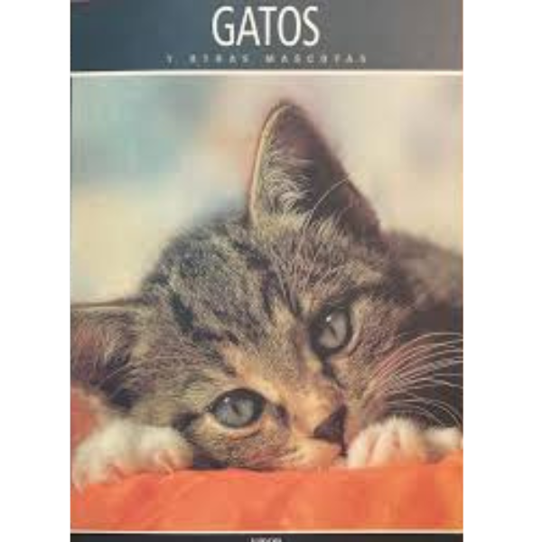 Gatos y otras mascotas